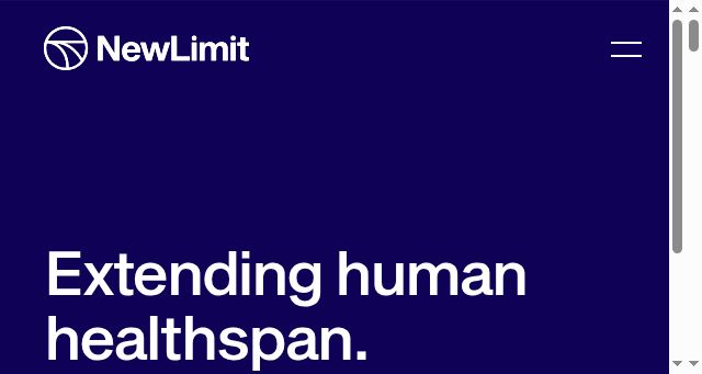 Screenshot of newlimit.com