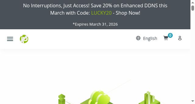 Screenshot of noip.com