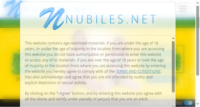 Screenshot of nubiles.net