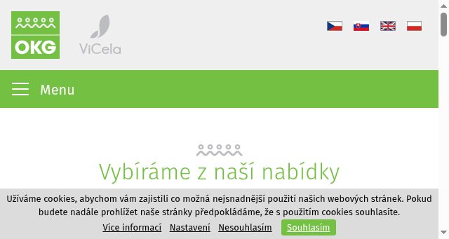 Screenshot of okg-family.com