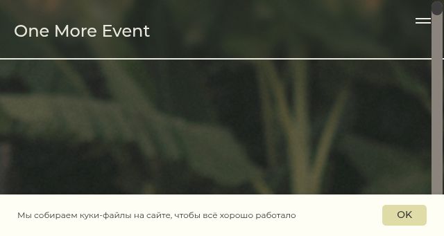 Screenshot of onemoreevent-wedding.com