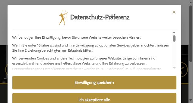 Screenshot of online-profession.de