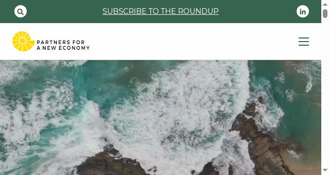 Screenshot of p4ne.org