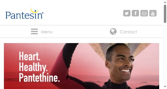 Screenshot of pantesin.com