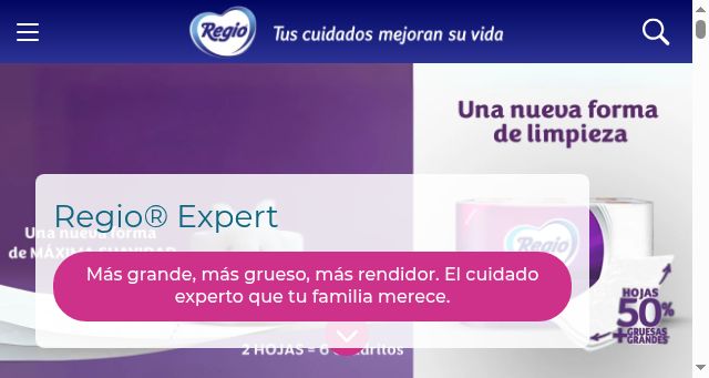 Screenshot of papelregio.com