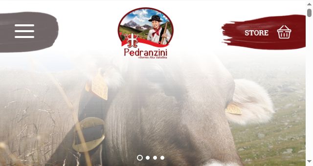 Screenshot of pedranzini.com