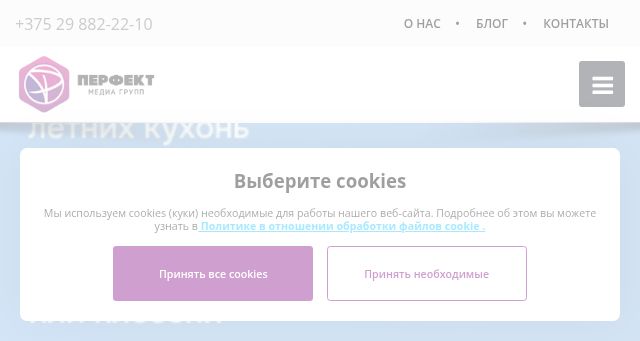 Screenshot of perfekt.by