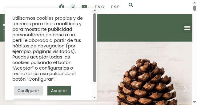 Screenshot of pinonsol.com