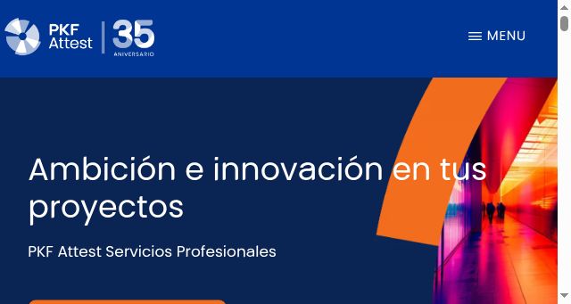 Screenshot of pkf-attest.es