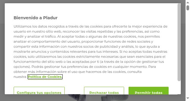 Screenshot of pladur.com