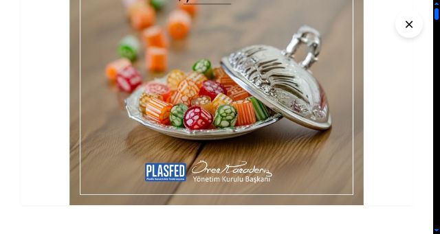 Screenshot of plasfed.org.tr