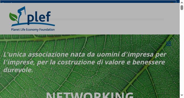 Screenshot of plef.org