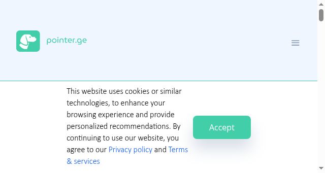 Screenshot of pointer.ge