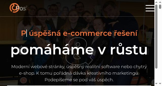 Screenshot of poski.com