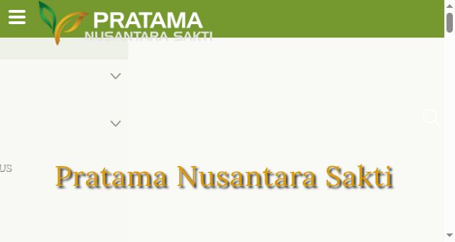 Screenshot of pratamanusantara.co.id