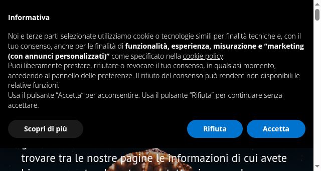 Screenshot of professioneinfamiglia.it