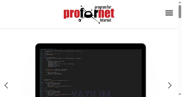 Screenshot of profornet.com