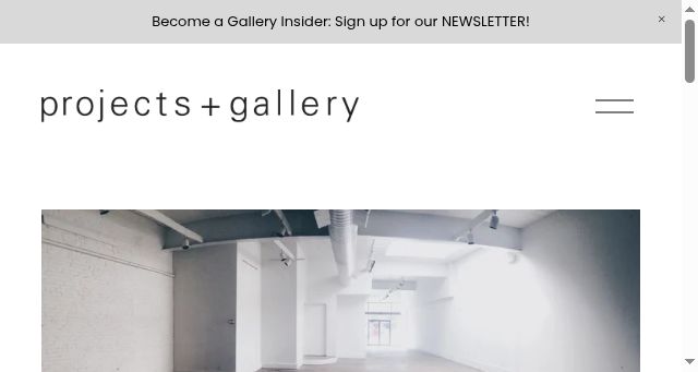 Screenshot of projects-gallery.com