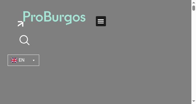 Screenshot of promueveburgos.com