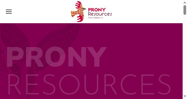 Screenshot of pronyresources.com