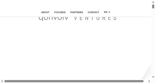 Screenshot of qonvolv.ventures