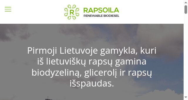 Screenshot of rapsoila.lt