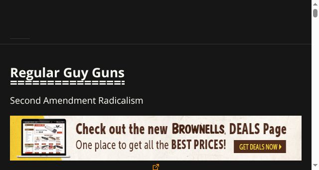 Screenshot of regularguyguns.com