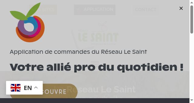Screenshot of reseau-le-saint.com
