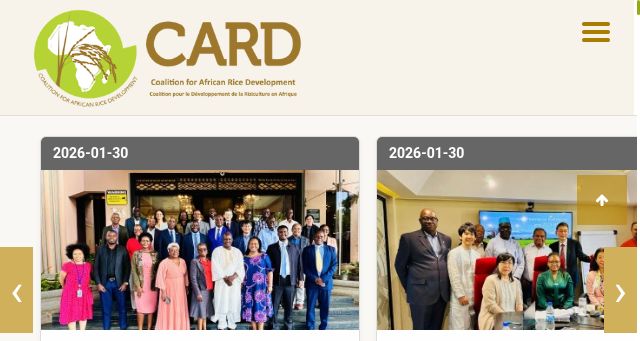 Screenshot of riceforafrica.net