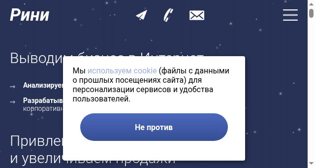 Screenshot of rinigroup.ru