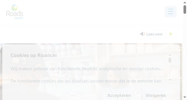 Screenshot of roads.nl