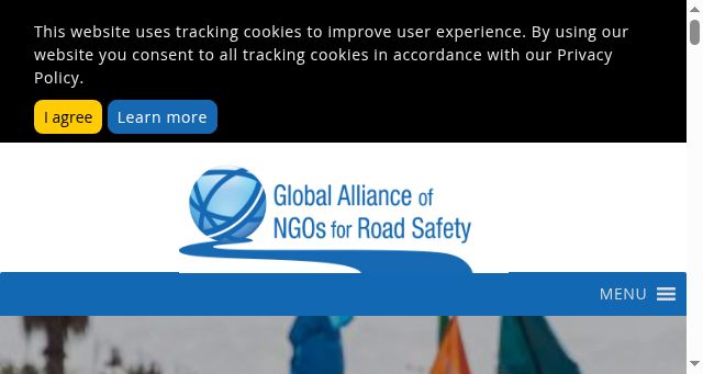 Screenshot of roadsafetyngos.org