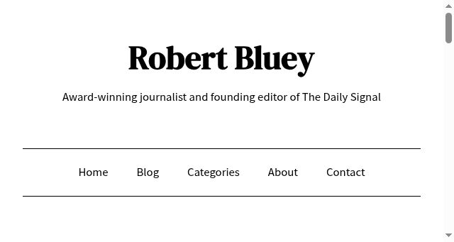 Screenshot of robertbluey.com