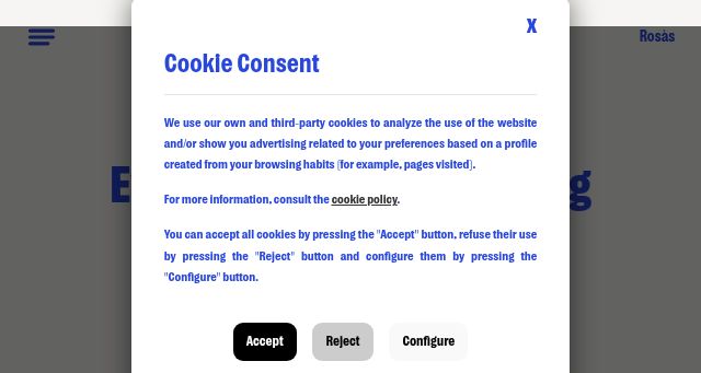 Screenshot of rosasagency.com