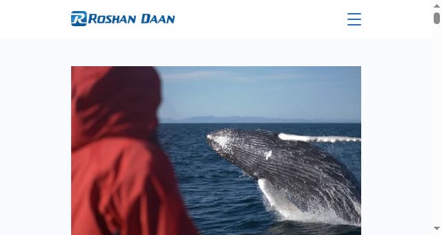 Screenshot of roshandaan.com