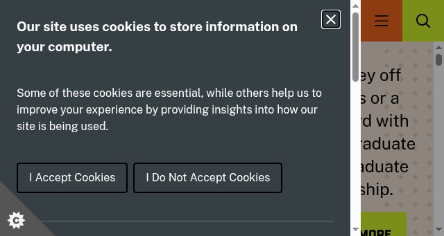 Screenshot of royalholloway.ac.uk