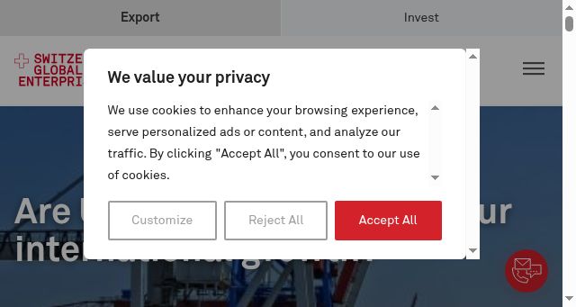Screenshot of s-ge.com