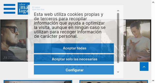Screenshot of saboramalaga.es