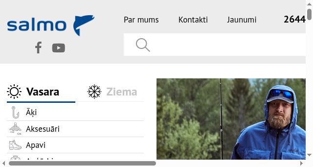 Screenshot of salmo.lv