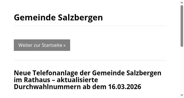 Screenshot of salzbergen.de