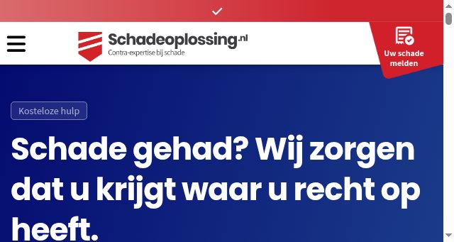 Screenshot of schadeoplossing.nl