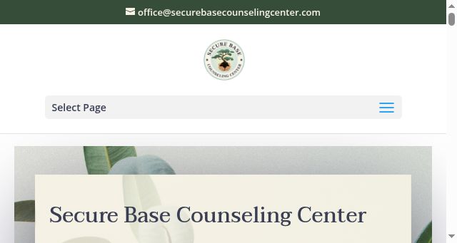 Screenshot of securebasecounselingcenter.com