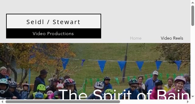 Screenshot of seidlstewart.com
