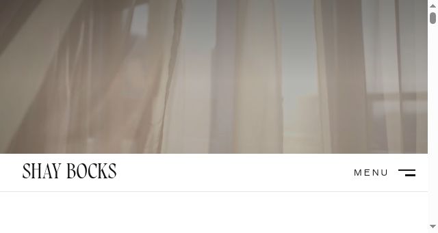 Screenshot of shaybocks.com