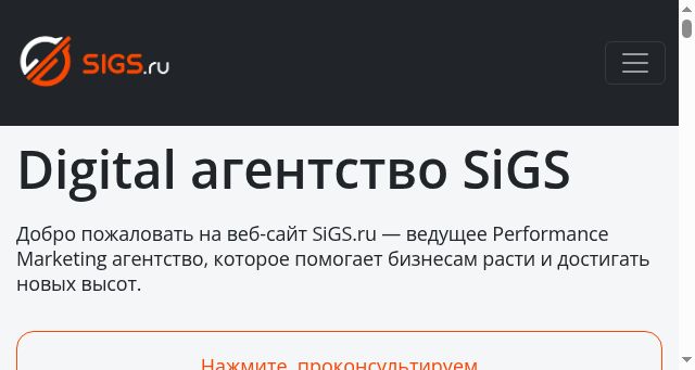 Screenshot of sigs.ru
