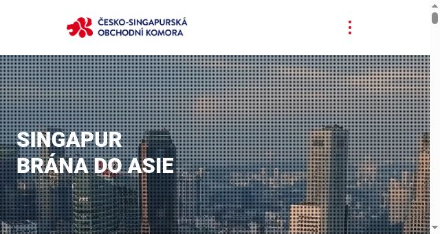 Screenshot of singapore.cz