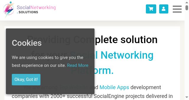 Screenshot of socialnetworking.solutions