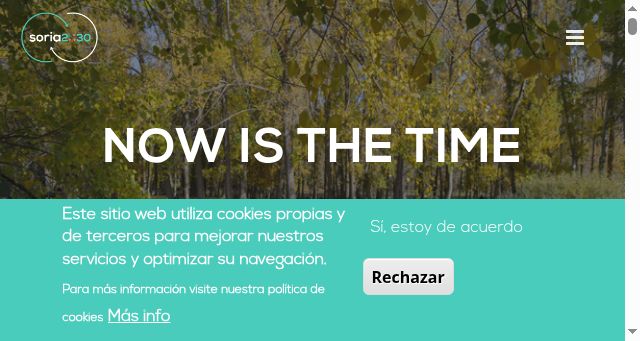 Screenshot of soria2030.es