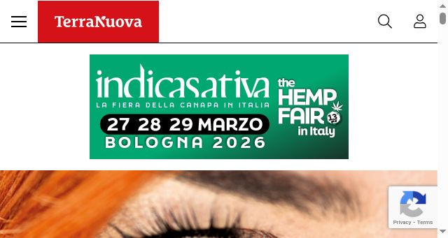 Screenshot of terranuova.it