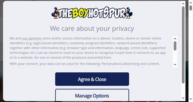 Screenshot of theboyhotspur.com